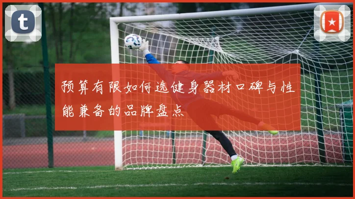 预算有限如何选健身器材口碑与性能兼备的品牌盘点