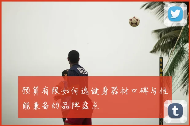 预算有限如何选健身器材口碑与性能兼备的品牌盘点