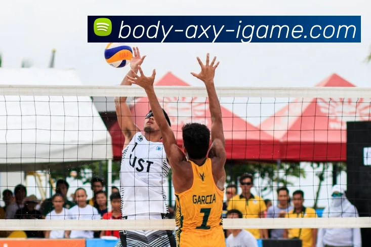 爱游戏全站App 爱游戏全站App